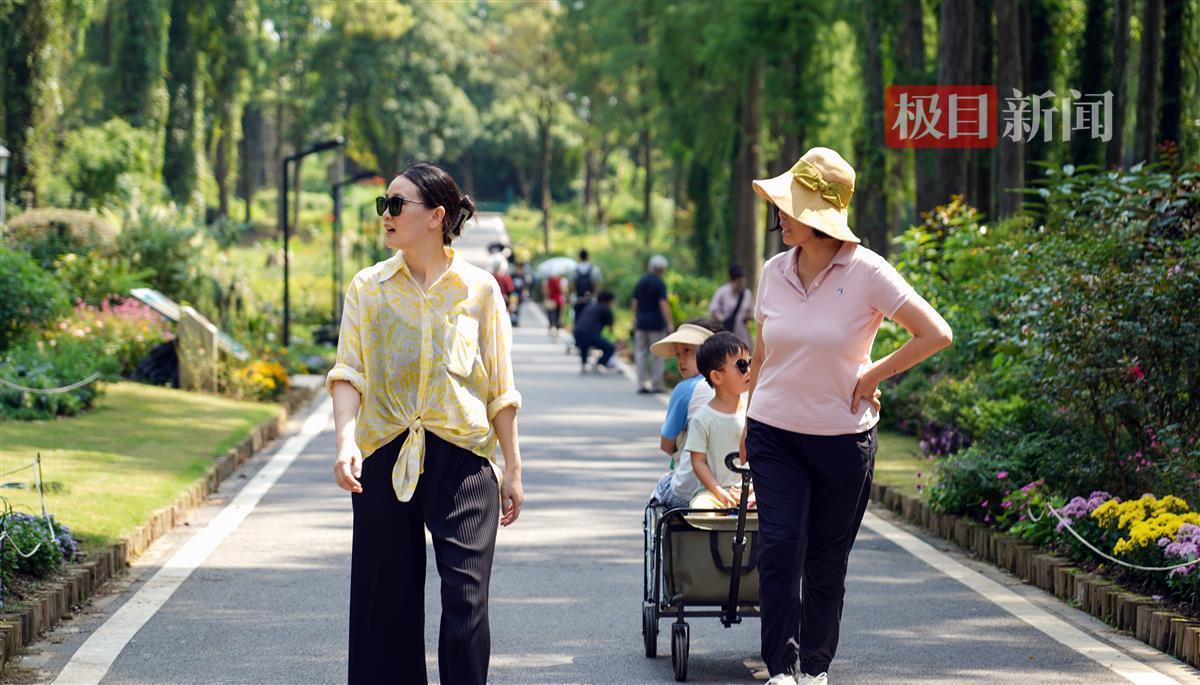 澳利国际下载